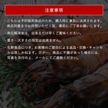 画像をギャラリービューアに読み込む, 【鳥取県産】ガラエビ サイズ不選別