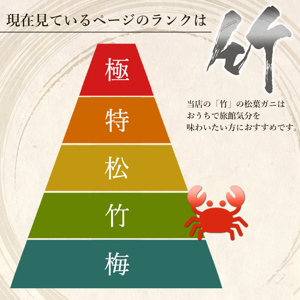 【着日指定可】【竹】極選松葉ガニ 600g級 鳥取県産 ブランドタグ付