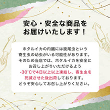 画像をギャラリービューアに読み込む, 【山陰沖産】生ホタルイカ 新物(冷凍) 大容量 1kgパック