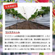 画像をギャラリービューアに読み込む, 【鳥取県産いちご】とっておき 1kg(250g×4パック)
