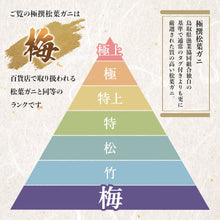 画像をギャラリービューアに読み込む, 【鳥取/鳥取港】<梅> 極撰松葉ガニ 最高級品 500g級 ブランドタグ付 早割価格の注文締切11月26日まで