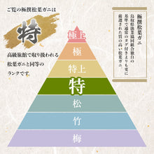 画像をギャラリービューアに読み込む, 【鳥取/鳥取港】<特> 極撰松葉ガニ 最高級品 800g級 ブランドタグ付 11月10日以降順次発送