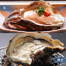 画像をギャラリービューアに読み込む, 【境港産】天然岩牡蠣 夏輝(ラベル付) 大サイズ(1個/500g級)殻開け済(殻の側面に隙間を開け た状態でお届け)8月15日注文締切