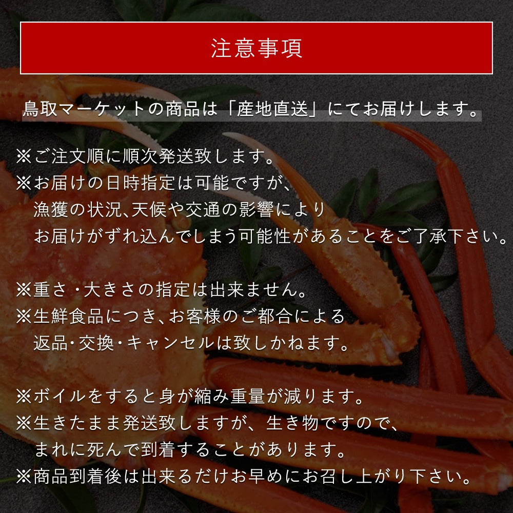 2月以降順次発送【鳥取県産】活生 若松葉ガニ