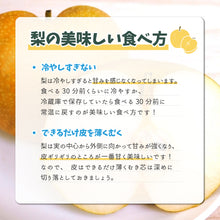 画像をギャラリービューアに読み込む, 【鳥取県八頭郡産】新甘泉 秀品 はっとうフルーツ観光園 注文締切9月9日