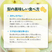 画像をギャラリービューアに読み込む, 【鳥取県八頭郡産】訳あり二十世紀梨 5kg はっとうフルーツ観光園 9月中旬以降順次発送/9月9日注文締切