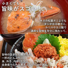 画像をギャラリービューアに読み込む, 【鳥取/鳥取港】親ガニ(セコガニ) A級(贈答用) 中サイズ 150g/枚 早割価格の注文締切11月26日まで