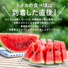 画像をギャラリービューアに読み込む, 【訳あり】鳥取県産 大玉の大谷スイカ 6月中旬以降出荷