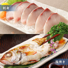 画像をギャラリービューアに読み込む, 境港の魚屋さんのおまかせ鮮魚セット(3~5種) 下処理済み