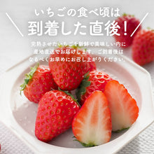 画像をギャラリービューアに読み込む, 【鳥取県産いちご】とっておき 1kg(250g×4パック)