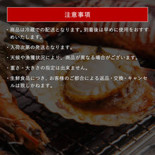 画像をギャラリービューアに読み込む, 境港産【特上】浜焼きセット