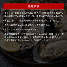 画像をギャラリービューアに読み込む, 【隠岐の島産】岩牡蠣(養殖) サイズ不選別