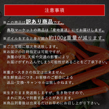 画像をギャラリービューアに読み込む, 【鳥取/鳥取港】 <訳あり>松葉ガニ A級(訳あり) 足折れ1本(小指除く) 早割価格の注文締切11月26日まで