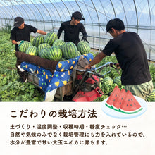 画像をギャラリービューアに読み込む, 【鳥取県産】大栄スイカ 注文締切7月10日