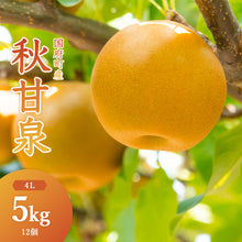 画像をギャラリービューアに読み込む, 【鳥取県鳥取市産】秋甘泉 秀品 5kg 国府選果場 9月上旬以降順次発送