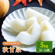 画像をギャラリービューアに読み込む, 【鳥取県福部町産】秋甘泉 秀品 東光園 9月17日注文締切