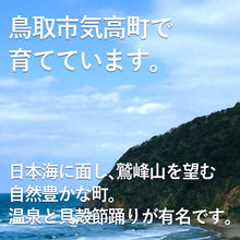 画像をギャラリービューアに読み込む, 鳥取県オリジナルいちご とっておき 200g×4パック