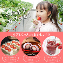 画像をギャラリービューアに読み込む, 鳥取県オリジナルいちご とっておき 200g×4パック