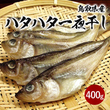 画像をギャラリービューアに読み込む, 【山陰沖産】ハタハタ一夜干し(冷凍) 小サイズ