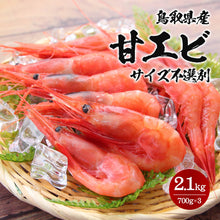 画像をギャラリービューアに読み込む, 【鳥取県産】甘エビ サイズ不選別