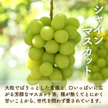 画像をギャラリービューアに読み込む, 【島根県産】シャインマスカット枝付き干しぶどう 100g×2房(おまけ付き)