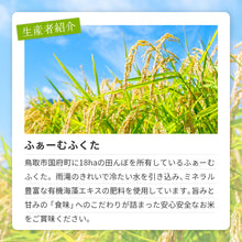 画像をギャラリービューアに読み込む, 鳥取市国府町産 きぬむすめ 令和7年度産 精米済 10kg(5kg×2袋)