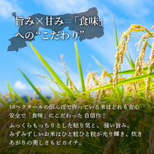 画像をギャラリービューアに読み込む, 鳥取市国府町産 きぬむすめ 令和7年度産 精米済