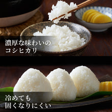 画像をギャラリービューアに読み込む, 鳥取市国府町産 コシヒカリ 令和7年度産 精米済