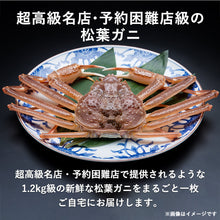 画像をギャラリービューアに読み込む, 【鳥取/鳥取港】<極上> 極撰松葉ガニ 最高級品 1.2kg級 ブランドタグ付 早割価格の注文締切11月26日まで