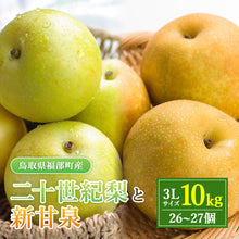 画像をギャラリービューアに読み込む, 【鳥取県福部町産】二十世紀梨と新甘泉のミックスセット 秀品 東光園 注文締切9月13日