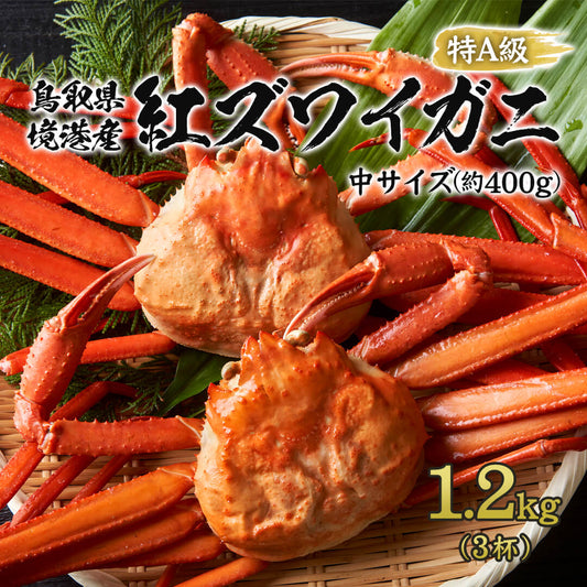 【鳥取/境港】釜茹で紅ズワイガニ 特A級 中サイズ 1.2kgセット(約400g×3杯) 10月7日以降順次発送
