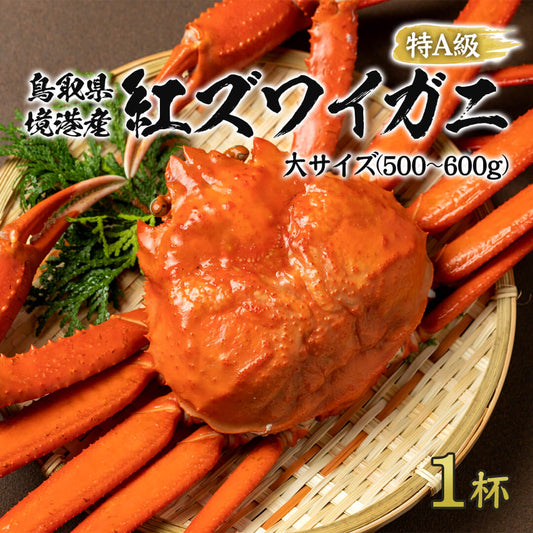 【鳥取/境港】釜茹で紅ズワイガニ 特A級 10月7日以降順次発送