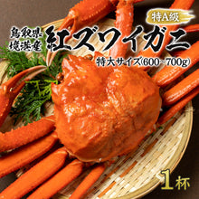 画像をギャラリービューアに読み込む, 【鳥取/境港】釜茹で紅ズワイガニ 特A級 10月7日以降順次発送