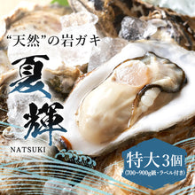 画像をギャラリービューアに読み込む, 【鳥取県産】天然岩牡蠣 夏輝(ラベル付) 特大サイズ(1個/700g〜900g級)8月11日注文締切