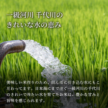 画像をギャラリービューアに読み込む, 【鳥取県産】因幡の白兎米 にじのきらめき 令和7年度産 精米済 10kg(5kg×2袋)