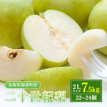 画像をギャラリービューアに読み込む, 【鳥取県福部町産】二十世紀梨 秀品 東光園 9月20日注文締切