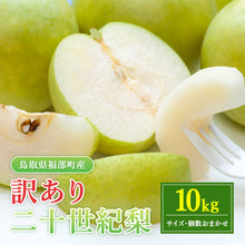 画像をギャラリービューアに読み込む, 【鳥取県福部町産】訳あり二十世紀梨 東光園 9月20日注文締切