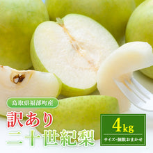 画像をギャラリービューアに読み込む, 【鳥取県福部町産】訳あり二十世紀梨 東光園 9月20日注文締切