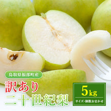 画像をギャラリービューアに読み込む, 【鳥取県福部町産】訳あり二十世紀梨 東光園 9月20日注文締切