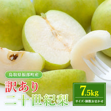 画像をギャラリービューアに読み込む, 【鳥取県福部町産】訳あり二十世紀梨 東光園 9月20日注文締切