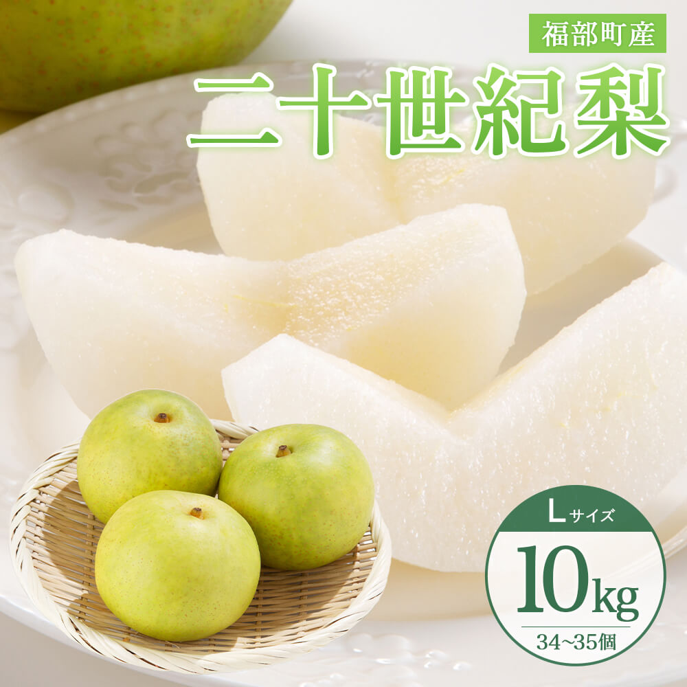 ⚠️ Rosegarden様専用⚠️茨城県産 梨 甘ひびき/秀品 10キロ 【公式通販】