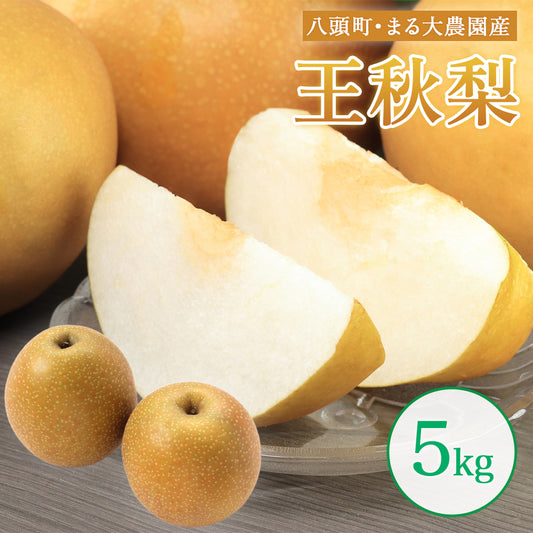 【鳥取県八頭郡】王秋梨 秀品 5kg まる大農園 10月31日注文締切
