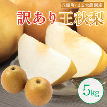 画像をギャラリービューアに読み込む, 【鳥取県八頭郡】訳あり王秋梨 5kg まる大農園 10月31日注文締切