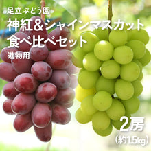 画像をギャラリービューアに読み込む, 9月1日順次発送/8月30日注文締切【島根県産】神紅&シャインマスカットの食べ比べセット 2房(約1.5kg) 進物用