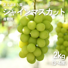 画像をギャラリービューアに読み込む, 9月1日順次発送/8月30日注文締切【島根県産】シャインマスカット 2kg(3~4房) 進物用