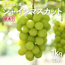 画像をギャラリービューアに読み込む, 9月1日順次発送/8月30日注文締切【訳あり】島根県産 シャインマスカット 1kg(2房)