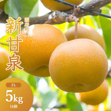 画像をギャラリービューアに読み込む, 【鳥取県鳥取市産】新甘泉 秀品 5kg 国府選果場 8月下旬以降順次発送 注文締切8月13日まで