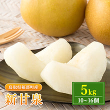 画像をギャラリービューアに読み込む, 【鳥取県福部町産】新甘泉 秀品 東光園 注文締切9月13日まで