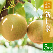 画像をギャラリービューアに読み込む, 【鳥取県鳥取市産】新甘泉 秀品 農楽猫農園 9月上旬以降順次発送 注文締切9月5日