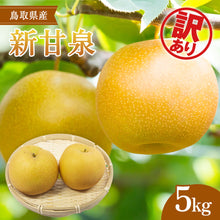 画像をギャラリービューアに読み込む, 【鳥取県八頭郡】訳あり新甘泉 まる大農園 8月下旬以降順次発送